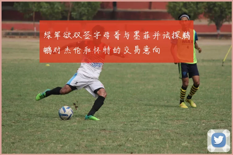 绿军欲双签字母哥与墨菲并试探鹈鹕对杰伦和怀特的交易意向