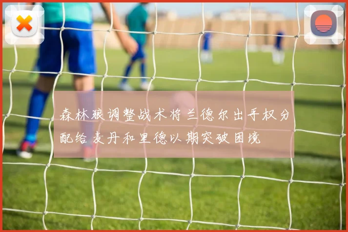 森林狼调整战术将兰德尔出手权分配给麦丹和里德以期突破困境